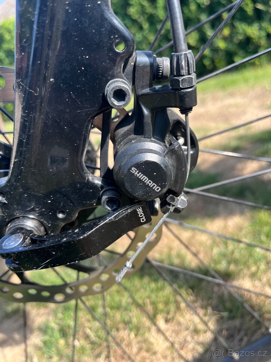 Leader fox sandy - 4