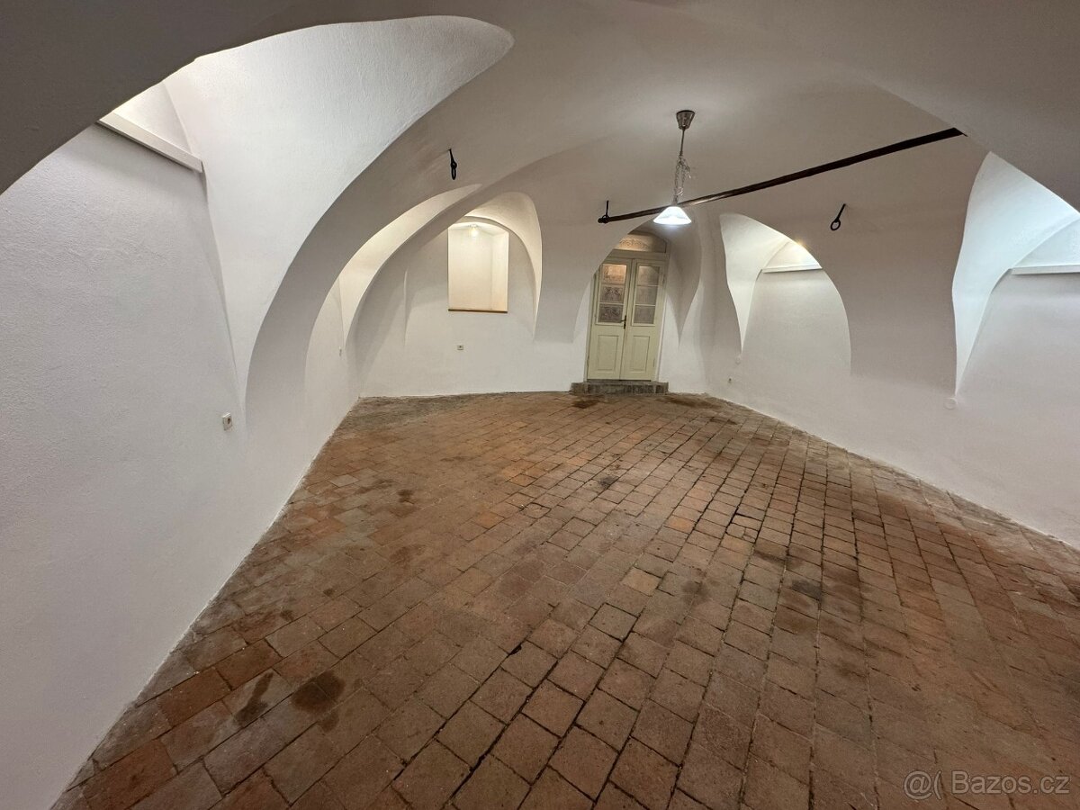 Pronájem nebytových prostor - 4