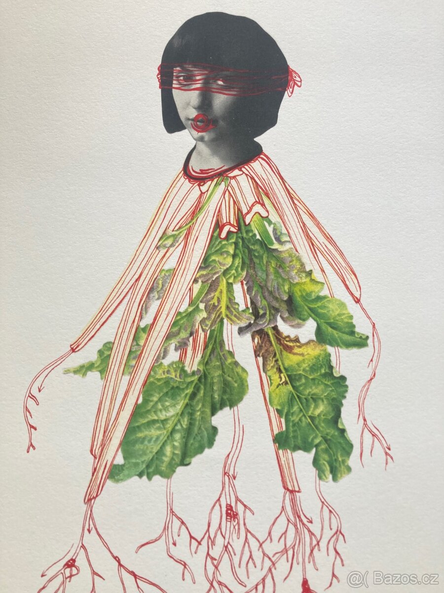 Eva Koťátková - Replanted - 4