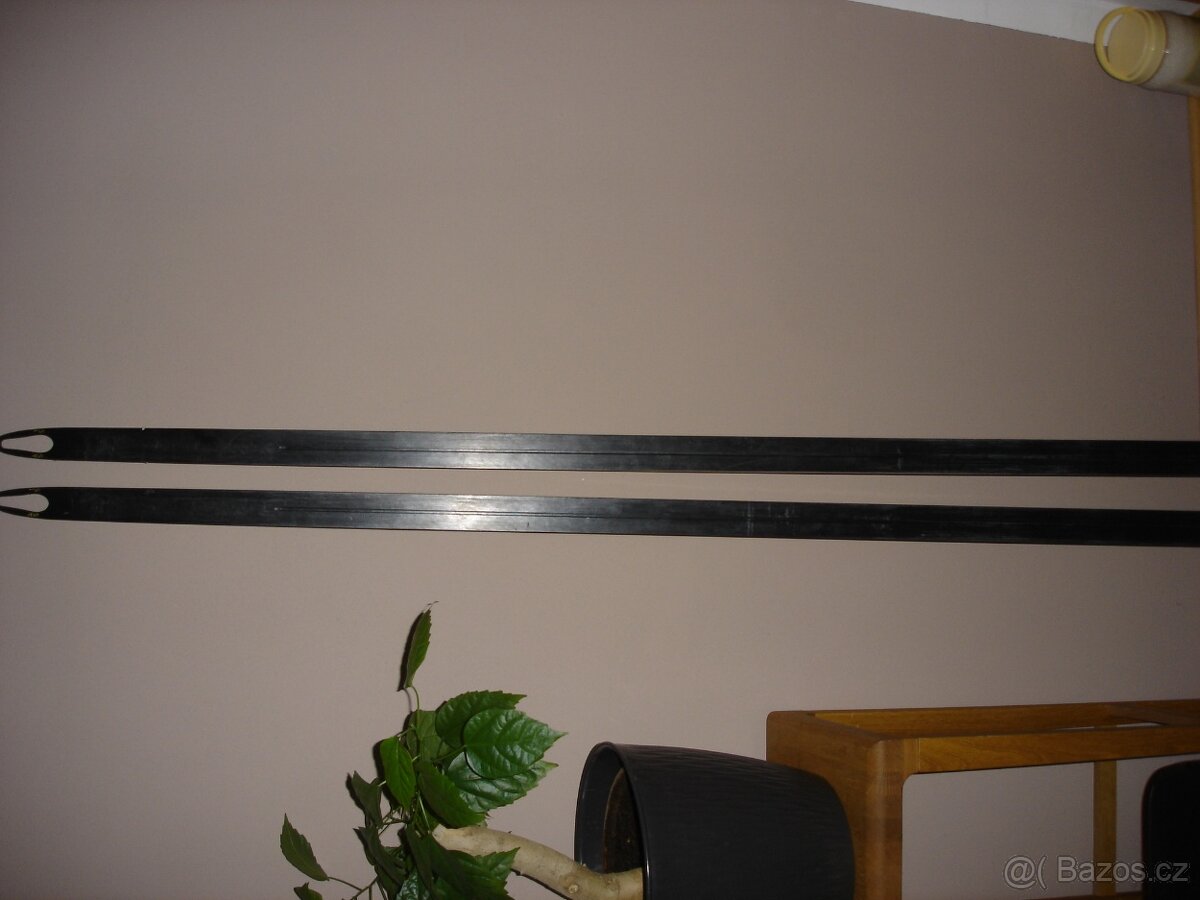 Běžky Fischer CARBON LITE 187cm - 4