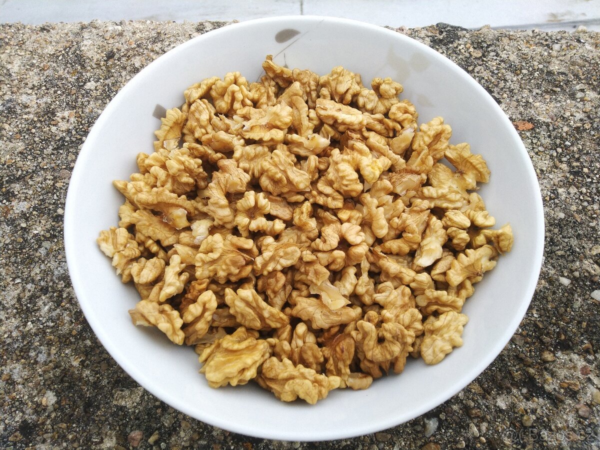 VYPRODÁNO - Vlašské ořechy 2025 - 4