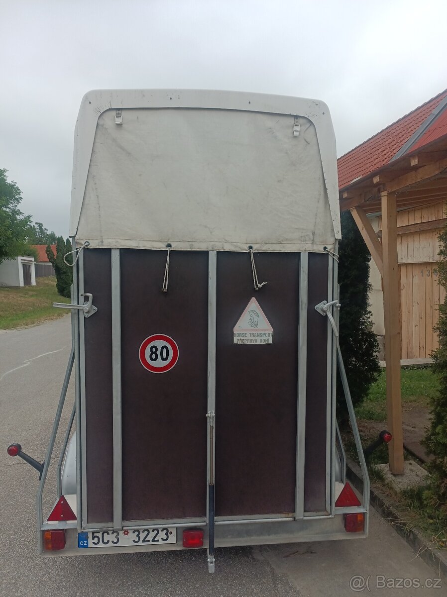 Pronájem - 4
