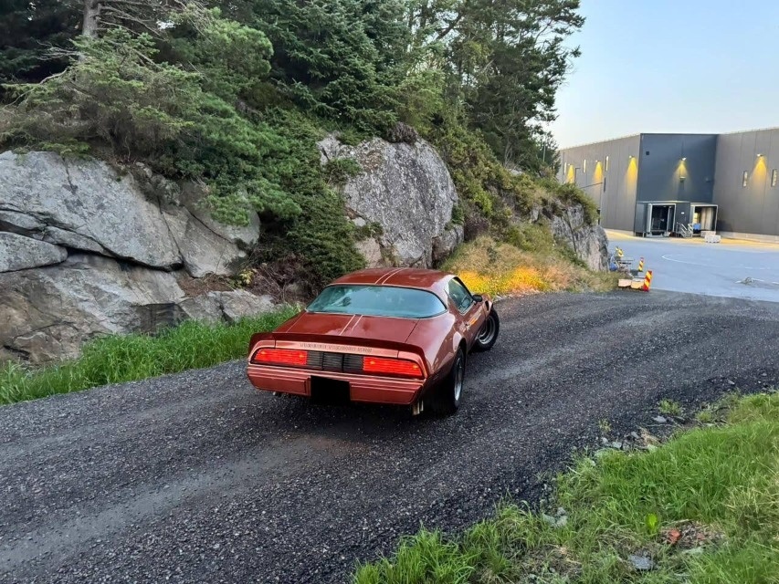 Pontiac Firebird Trans Am z roku 1980 - 4