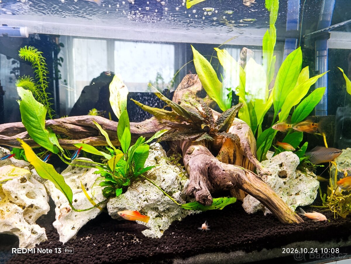 Prodam jomplet akvarium 240 L - 4