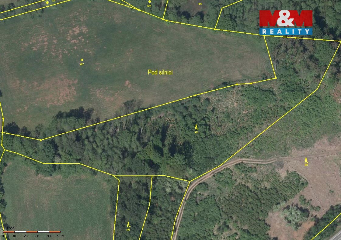 Prodej, les, 13753 m2, Úbislavice, Stav - 4