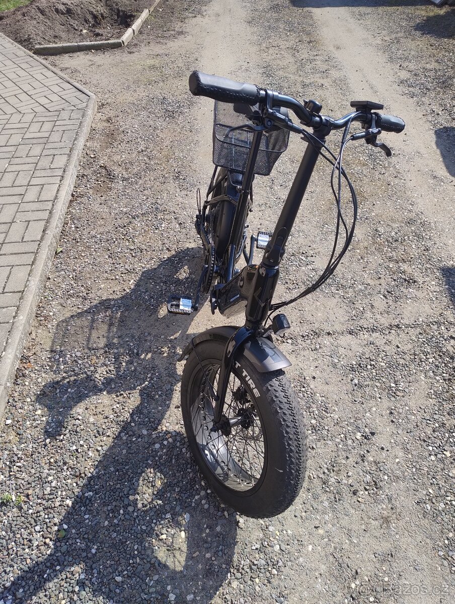 Leader Fox Cody 2024 - 4