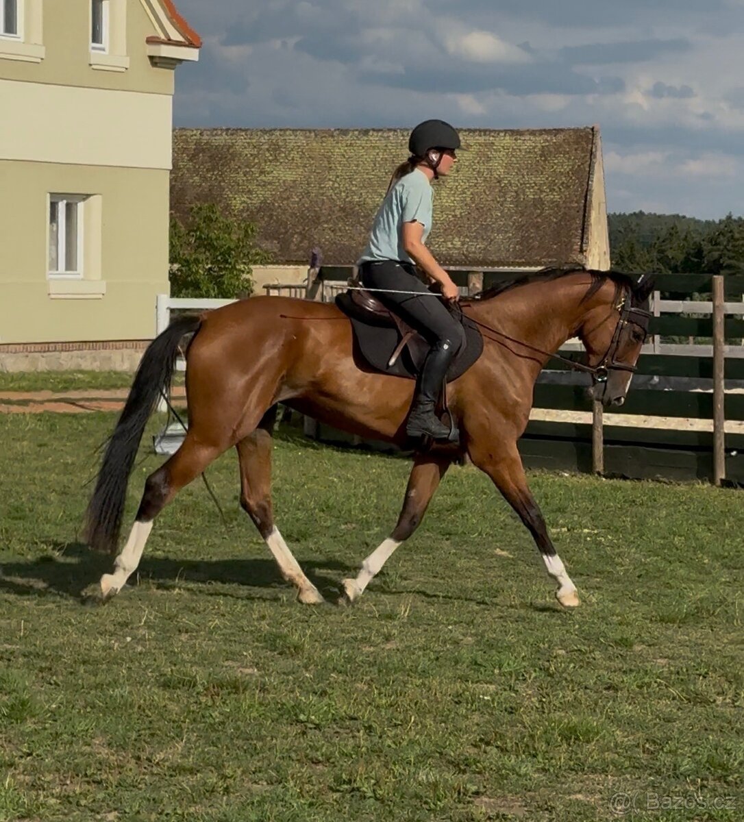 3-letá líbivá klisna - 4