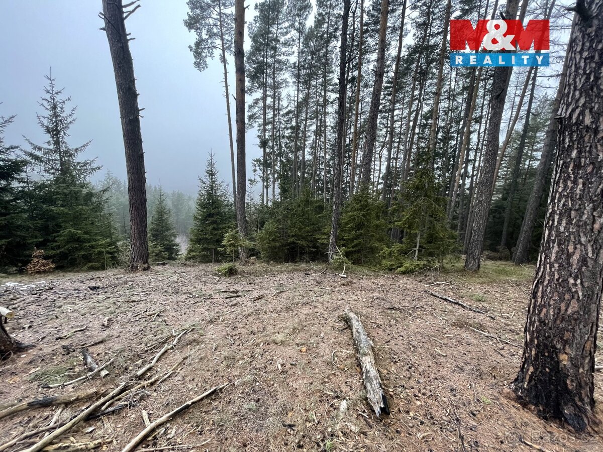 Prodej, les, 20194 m2, Pecka - 4