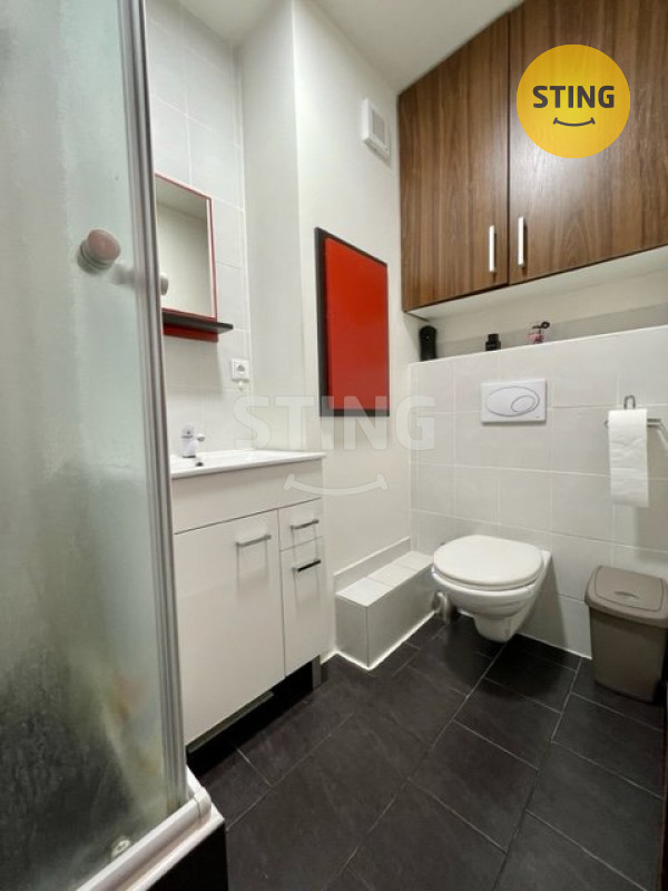 Nabízíme vám k pronájmu byt 1+1 v Hodoníně o ploše 4, 133887 - 4