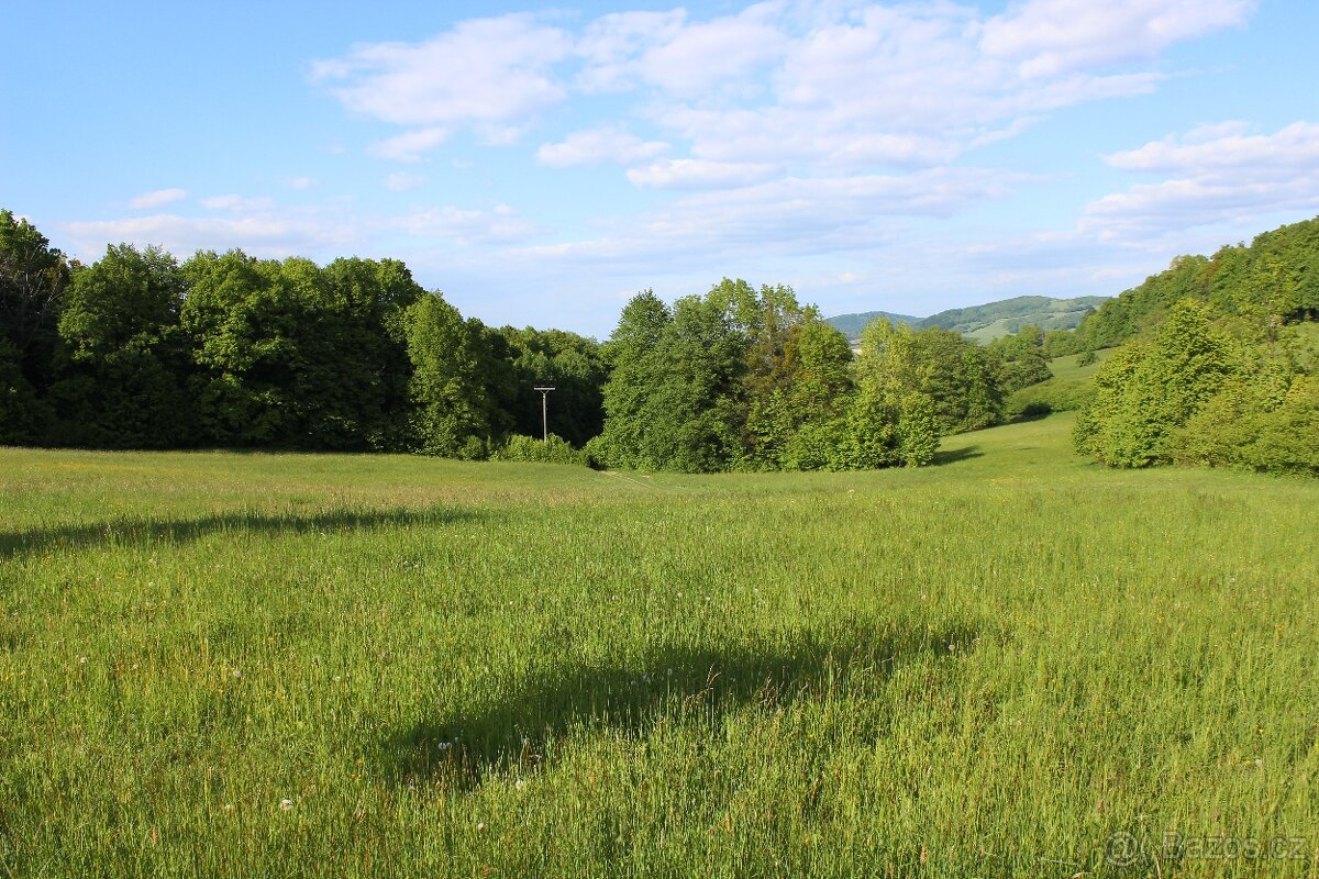 Prodej pozemku Čertův Mlýn 3425 m2 - 4