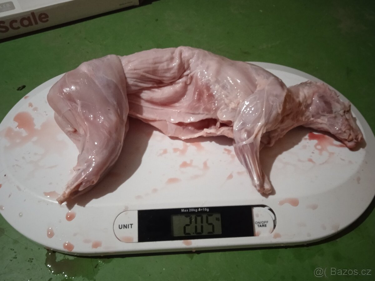 Králíci na maso - 4