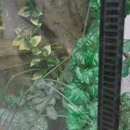 Exo terra terárium + příslušenství - 4