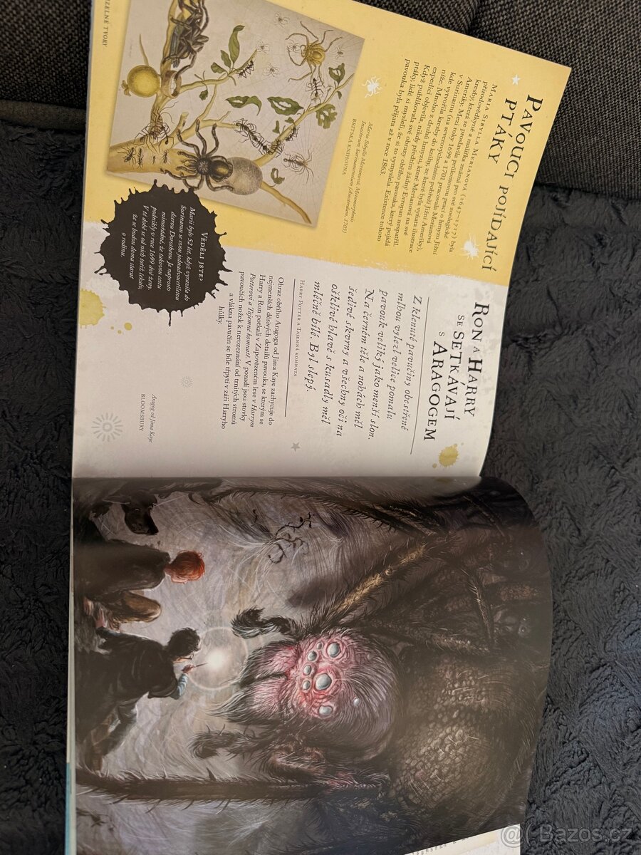 Harry Potter cesta dějinami čar a kouzel - 4