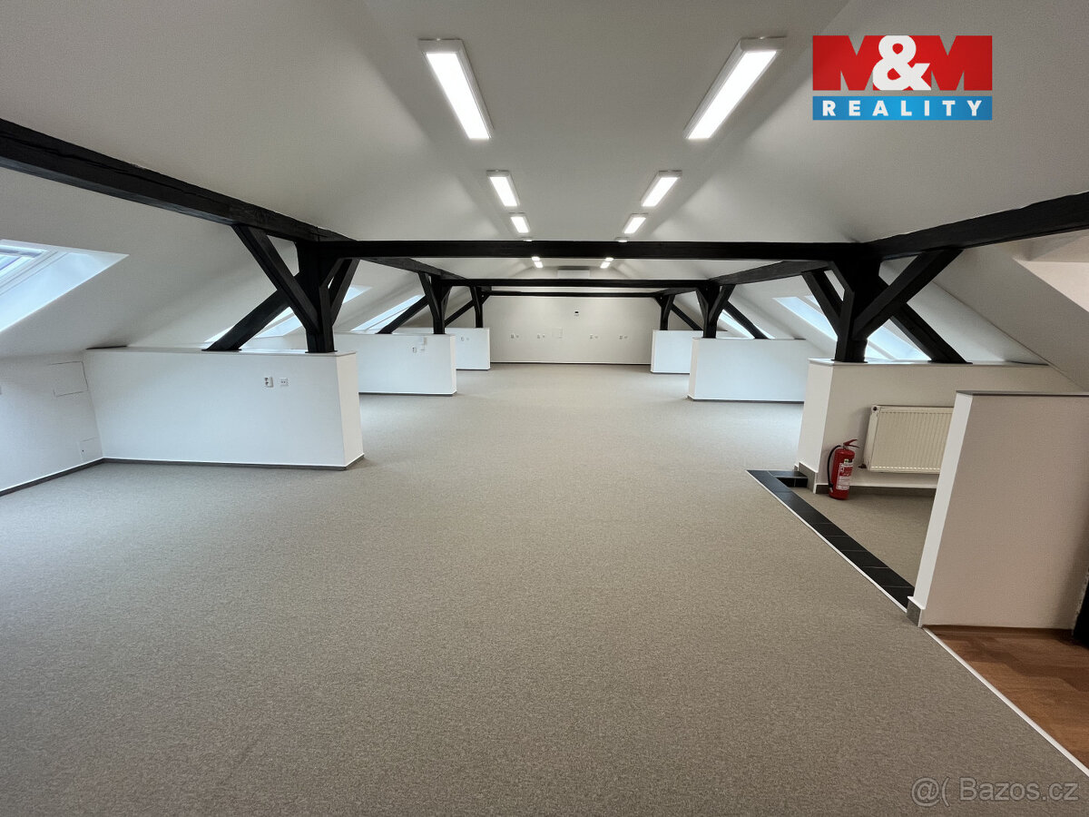 Pronájem kanc. prostoru, 277 m², Ostrava, ul. Nemocniční - 4