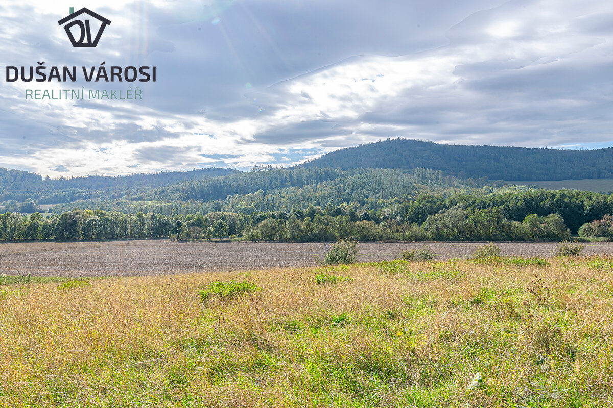 Louka o rozloze 5 743m2 v KÚ Města Albrechtice - 4