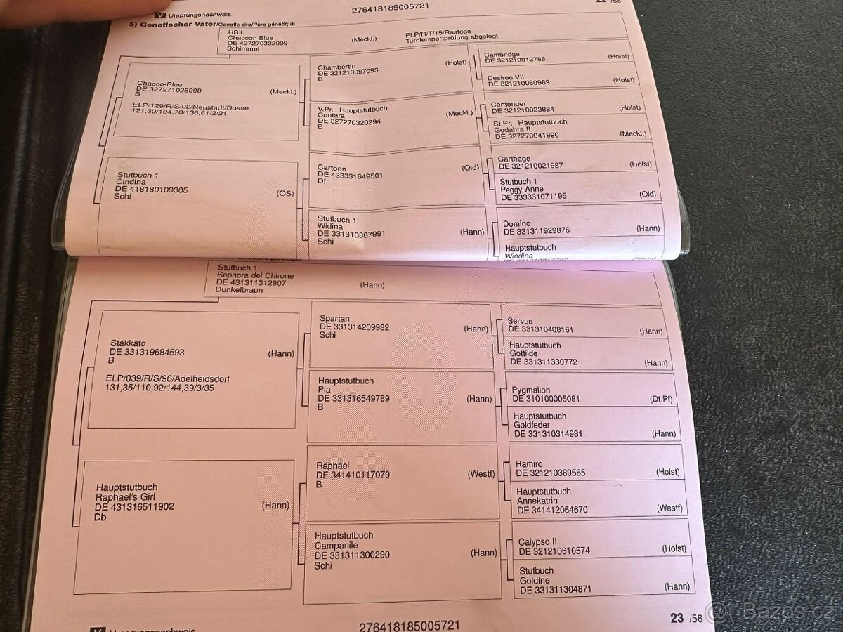 Prodej / výměna - 4