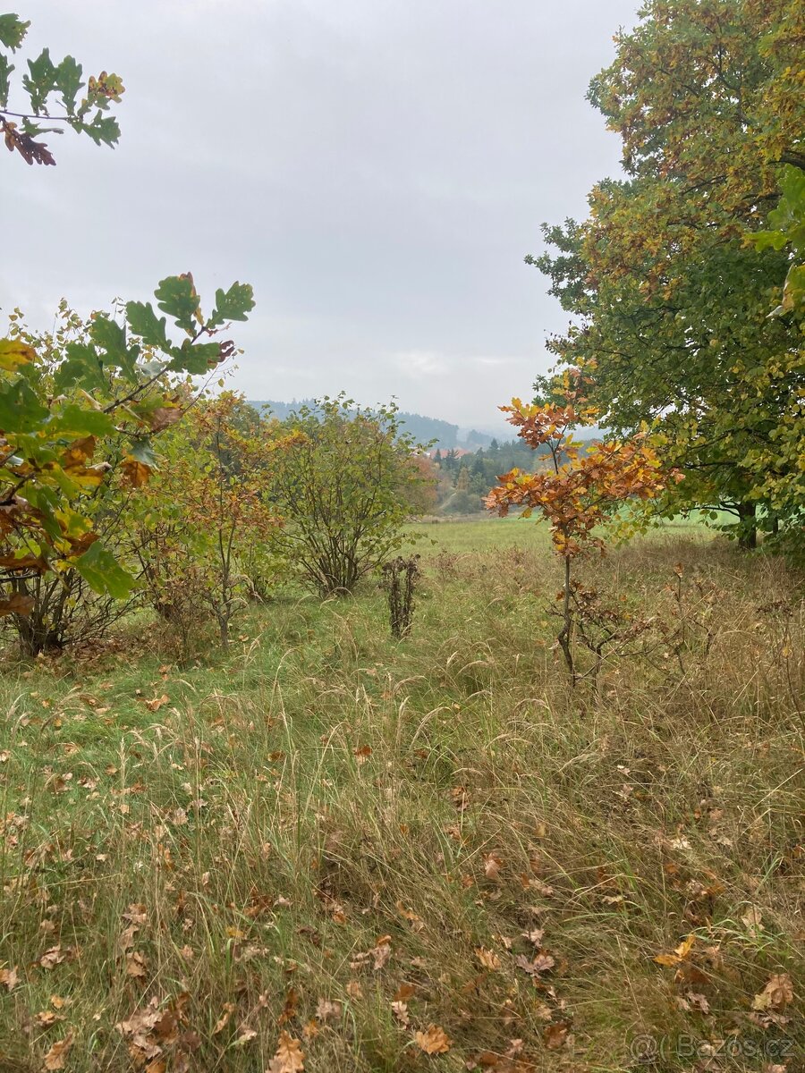 Pronájem pozemku v Semici u písku - 4