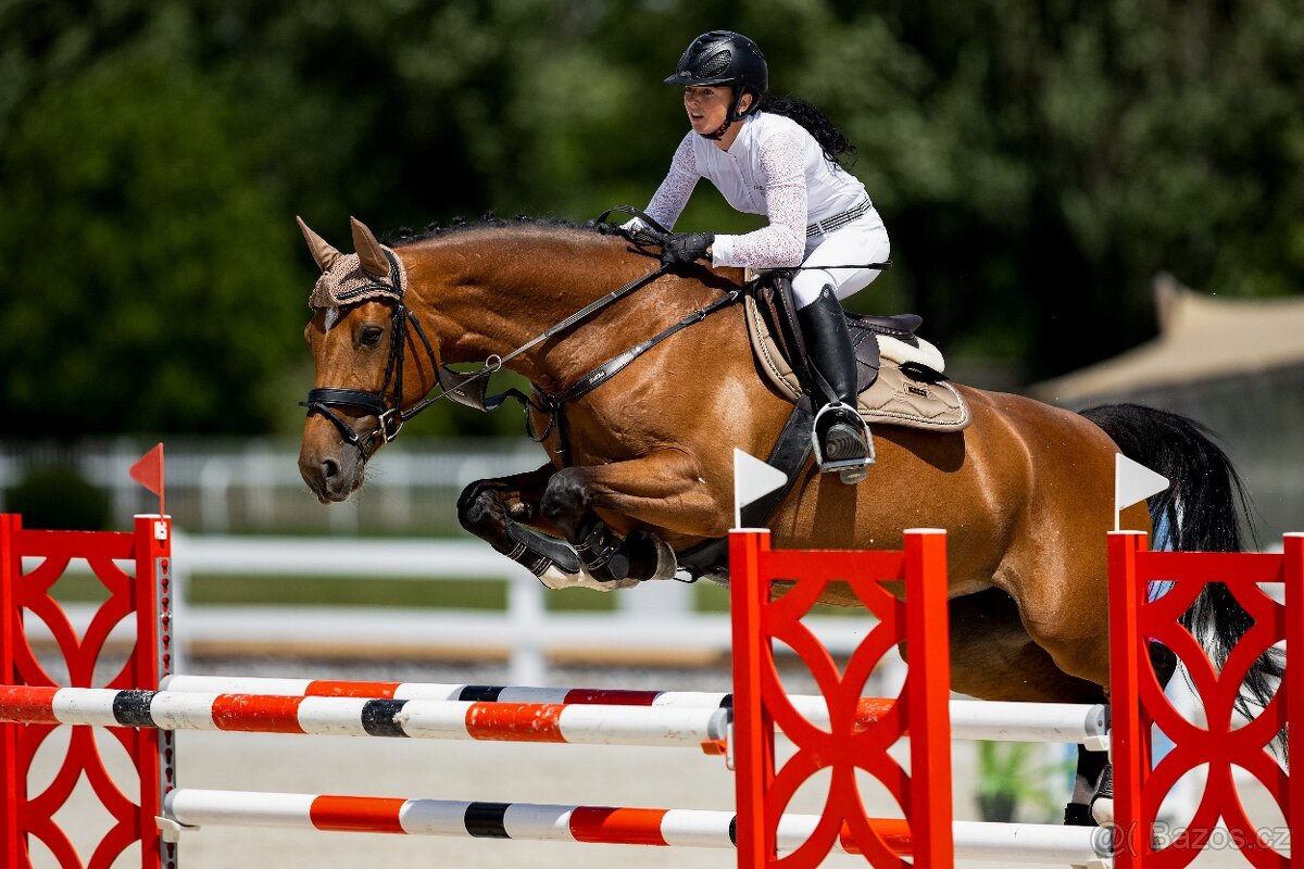 Poradenství v nákupu a prodeji na míru - 4