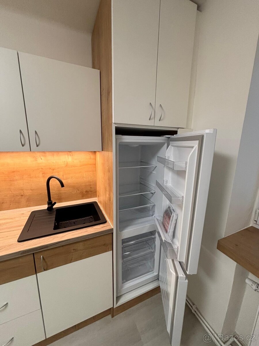 Pronájem bytu po rekonstrukci - 4