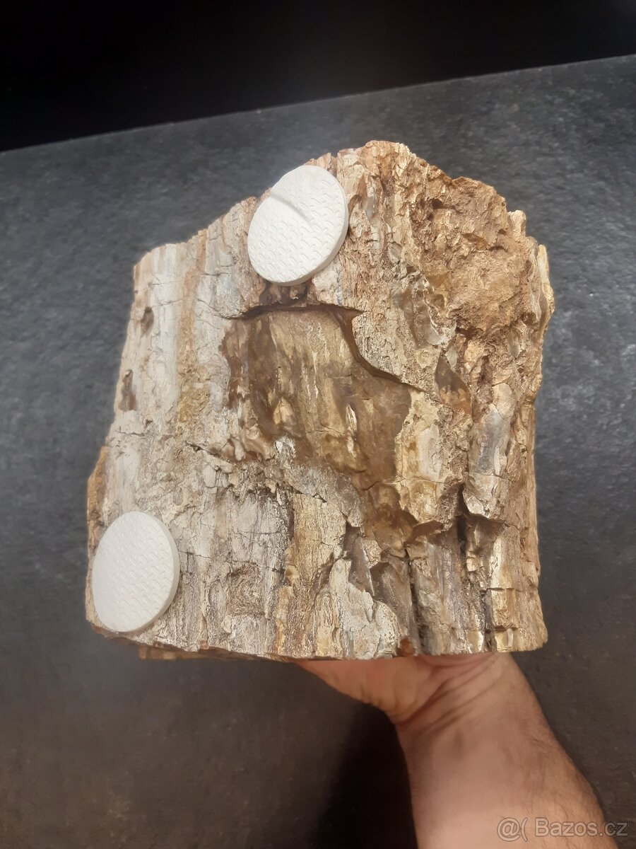 zkamenělé dřevo 7,9 kg - 4