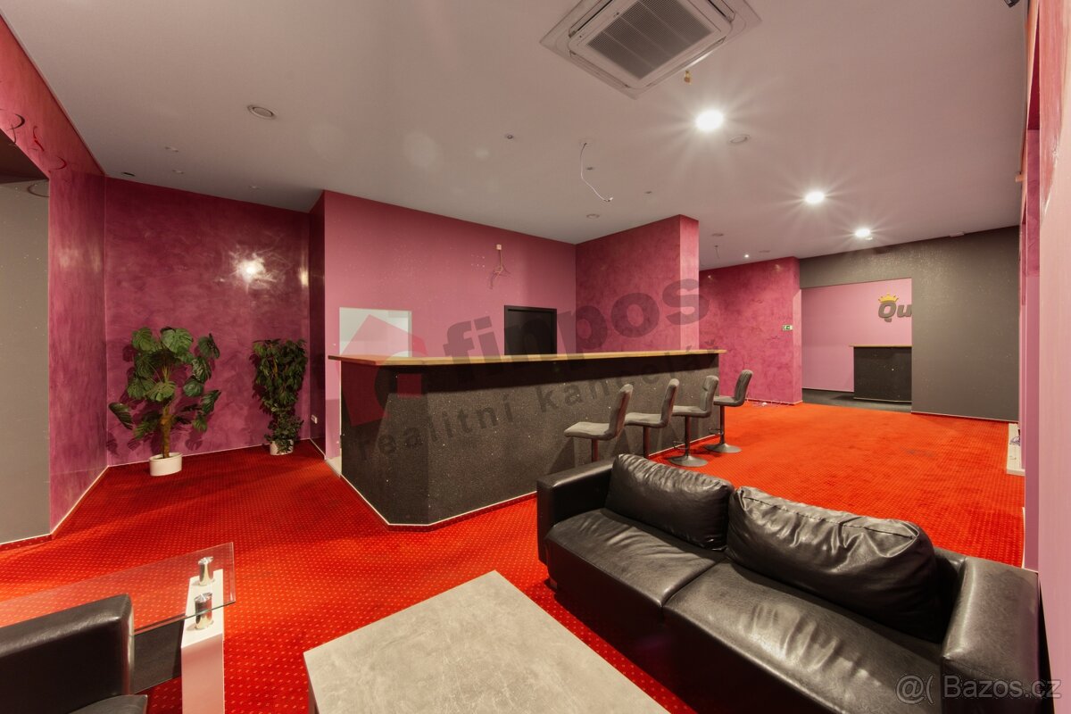 Pronájem komerčních prostor 230m2 Plzeň - 4