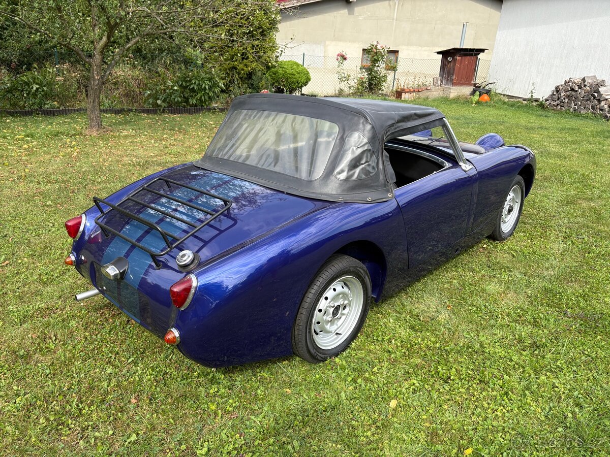 Austin healey froggy - 4