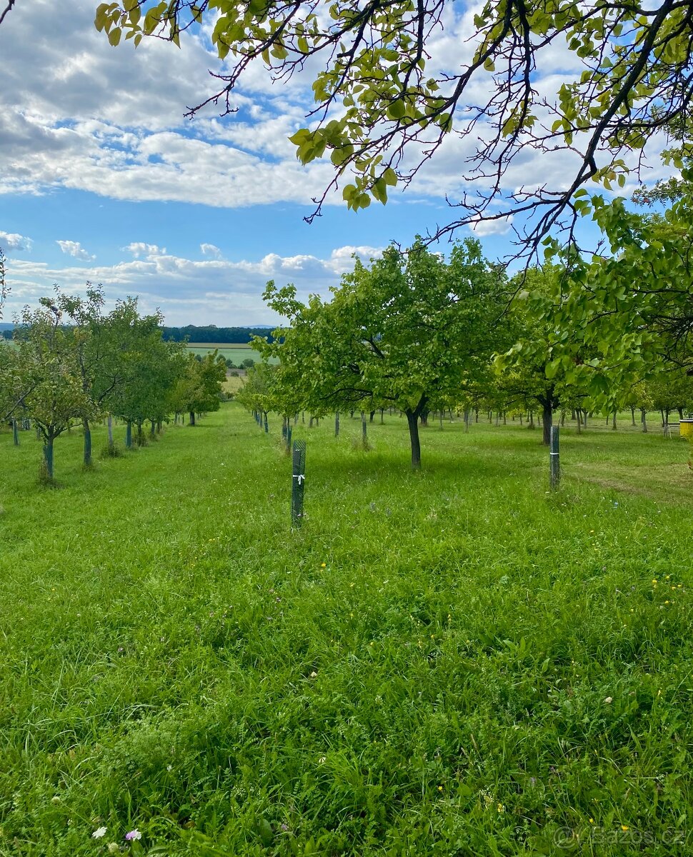 Pozemek s krásným výhledem a chatkou - 4