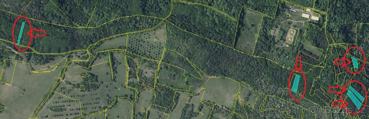 Prodám lesní pozemky v k.ú. Želenice u Mostu - 4