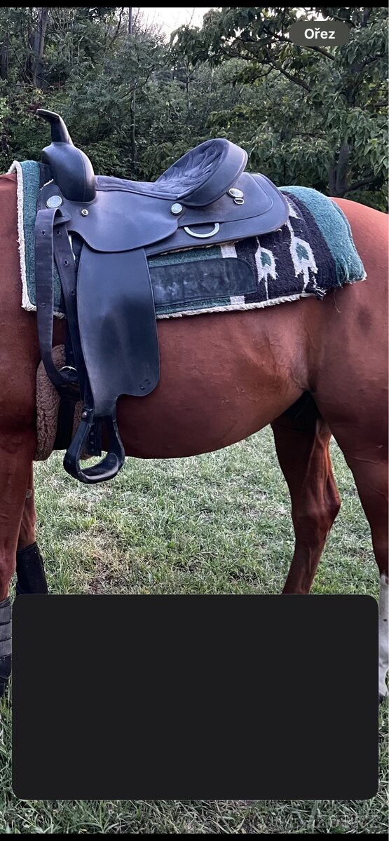 Wintec syntetika - 4