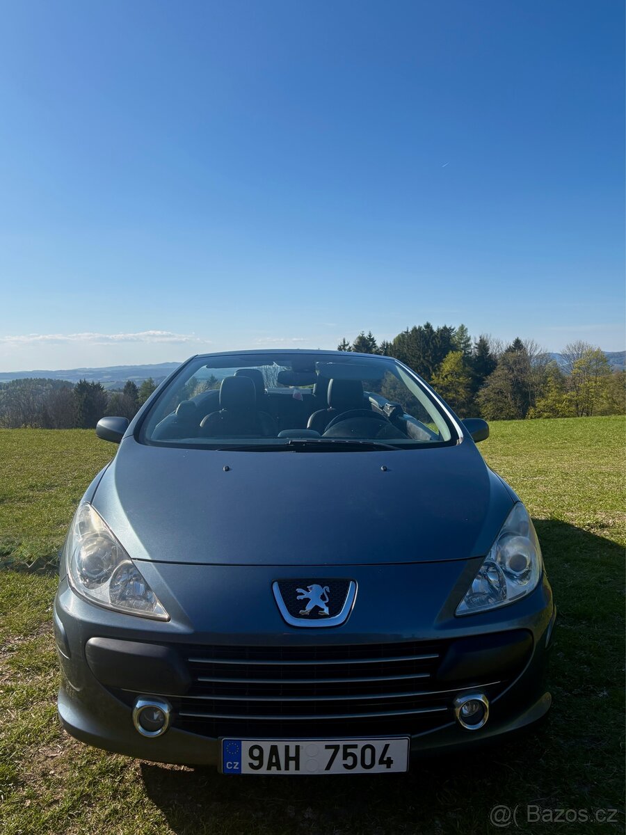 Peugeot 307 cc - 4