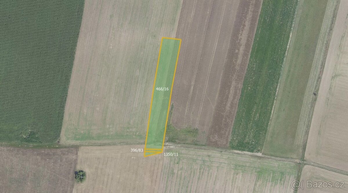 Zemědělská půda, prodej, Městec Králové, Nymburk - 4