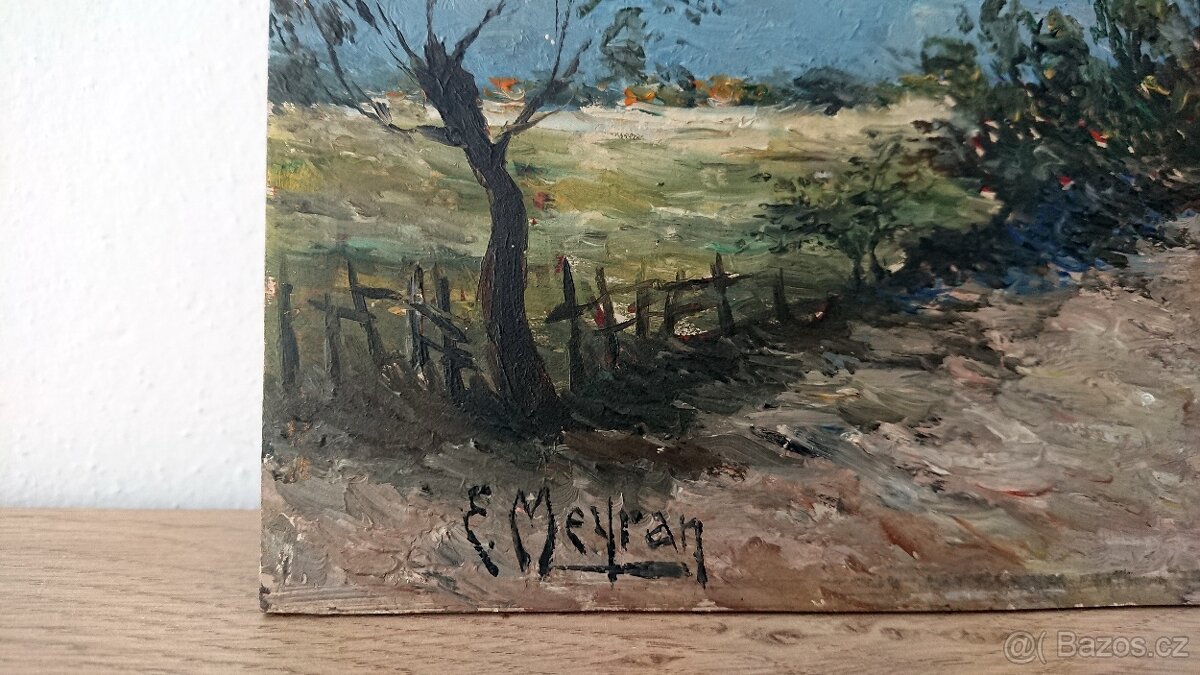 Krajina s mlýnem, Nizozemí. E. Meyran - 4