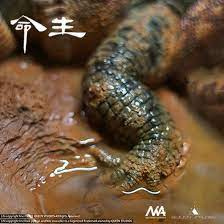 Queen Studios - Rock Python and Nile Crocodile - 4