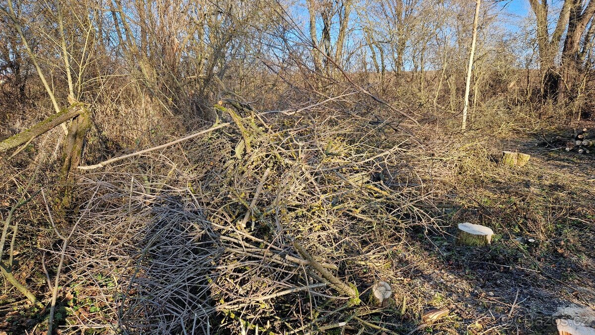 Větve k štěpkování zdarma - 4