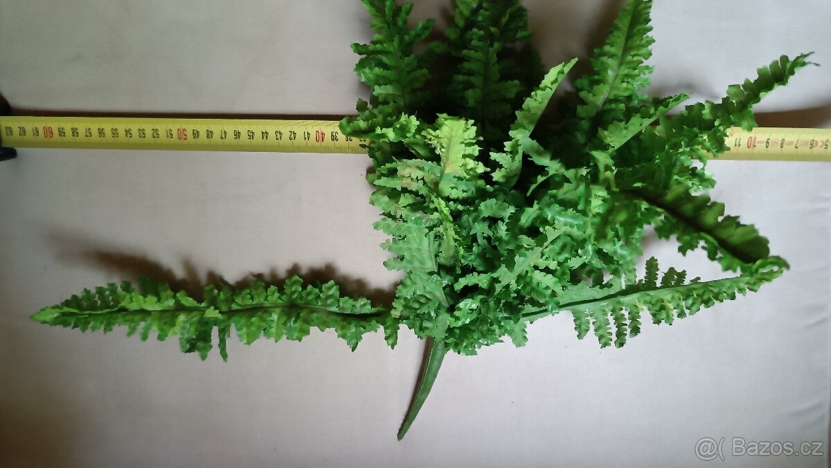 Umělé kapradí - 4