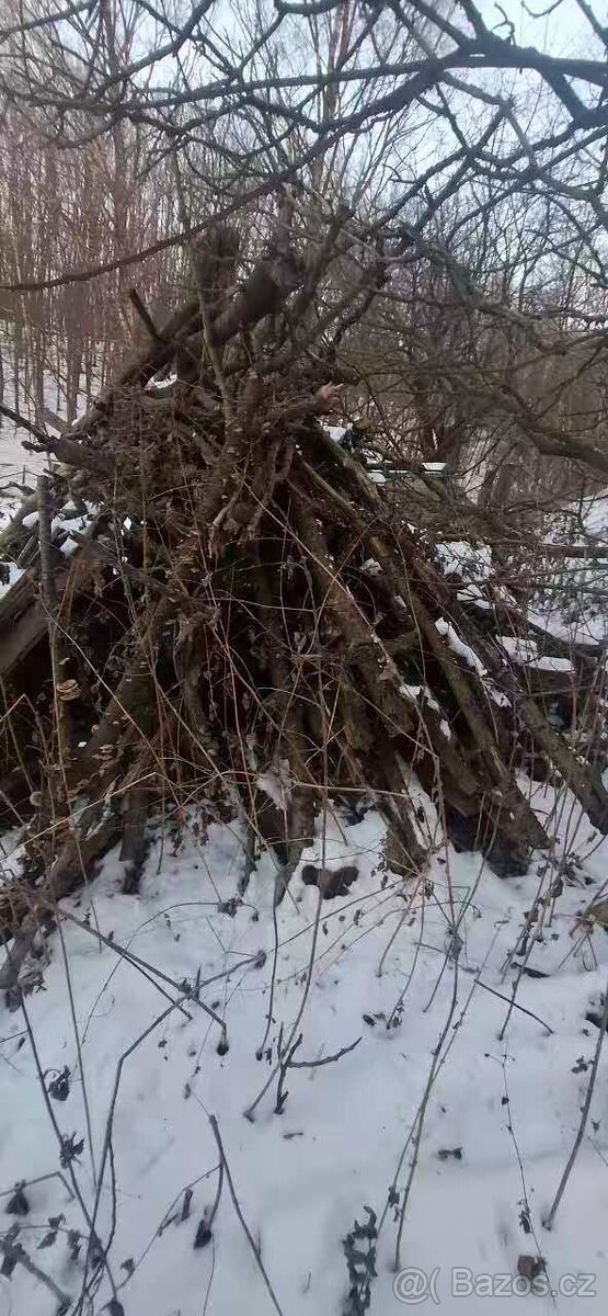 Palivové dřevo - 4