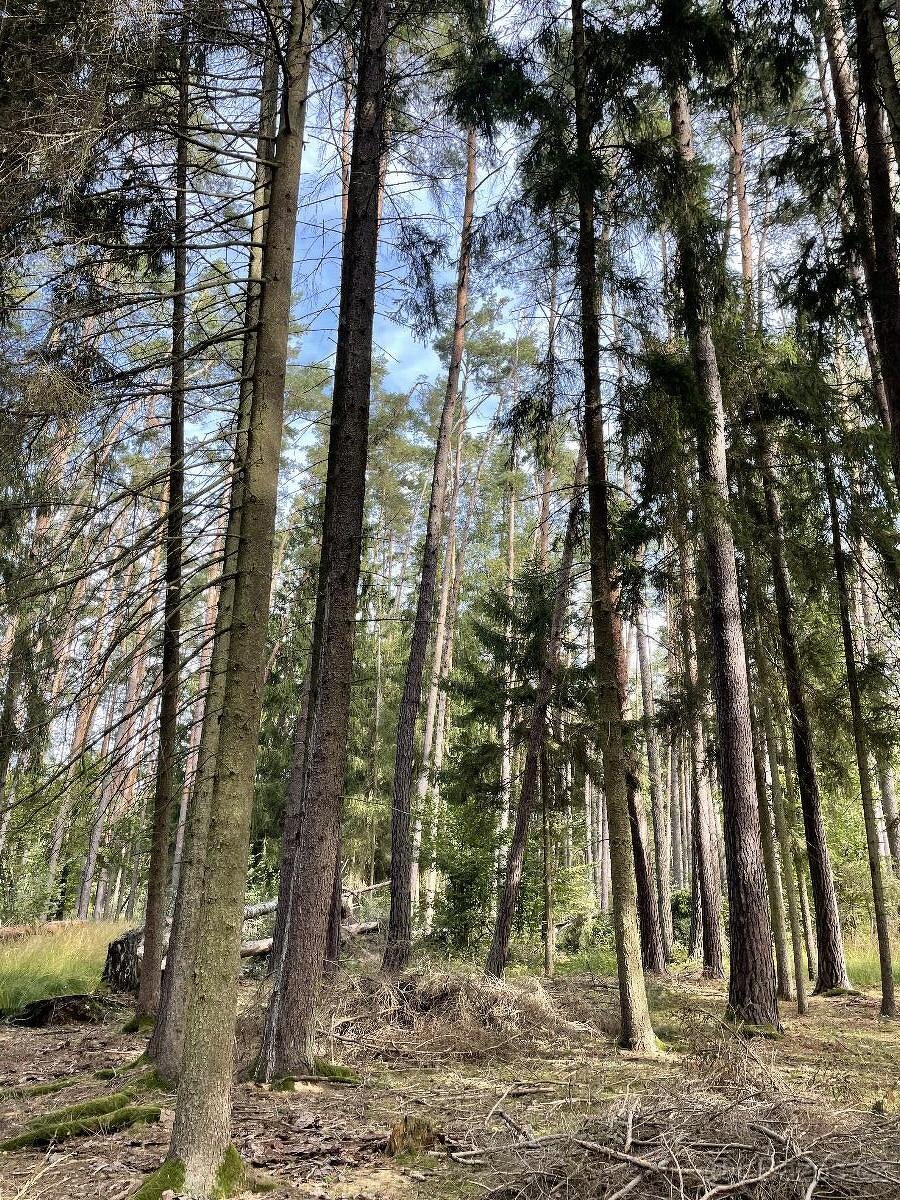 Prodám pozemky v k.ú. Drahov - 4