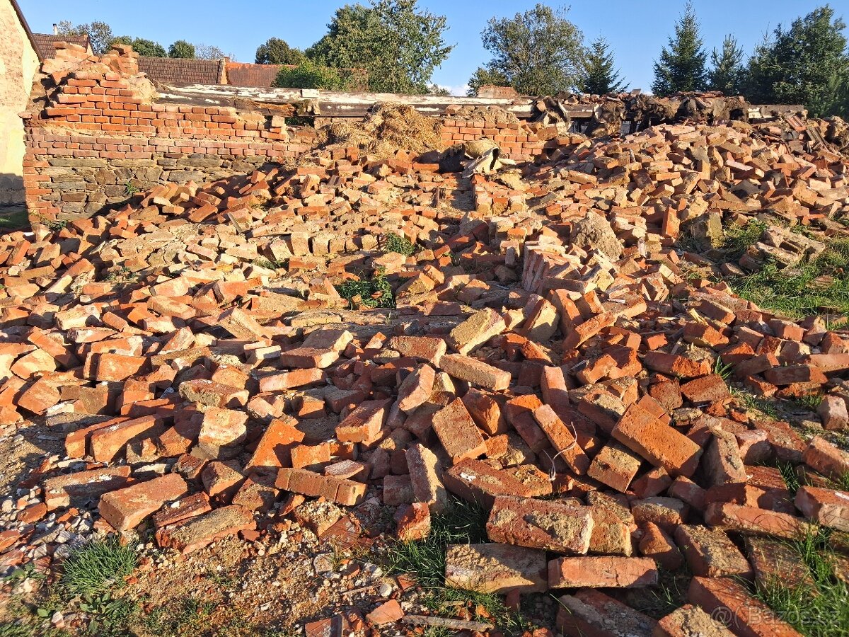 Daruji cihly za odvoz - 4