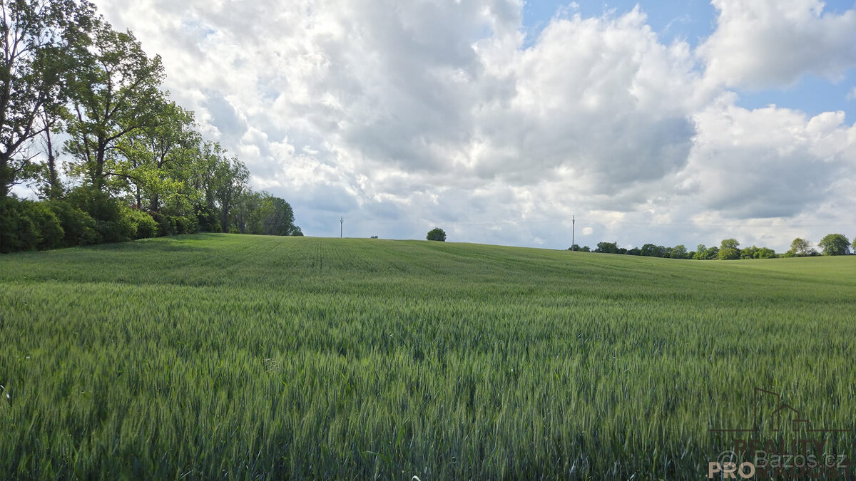 Prodej pozemků 2649 m2 v Kyjově - Nětčicích - 4