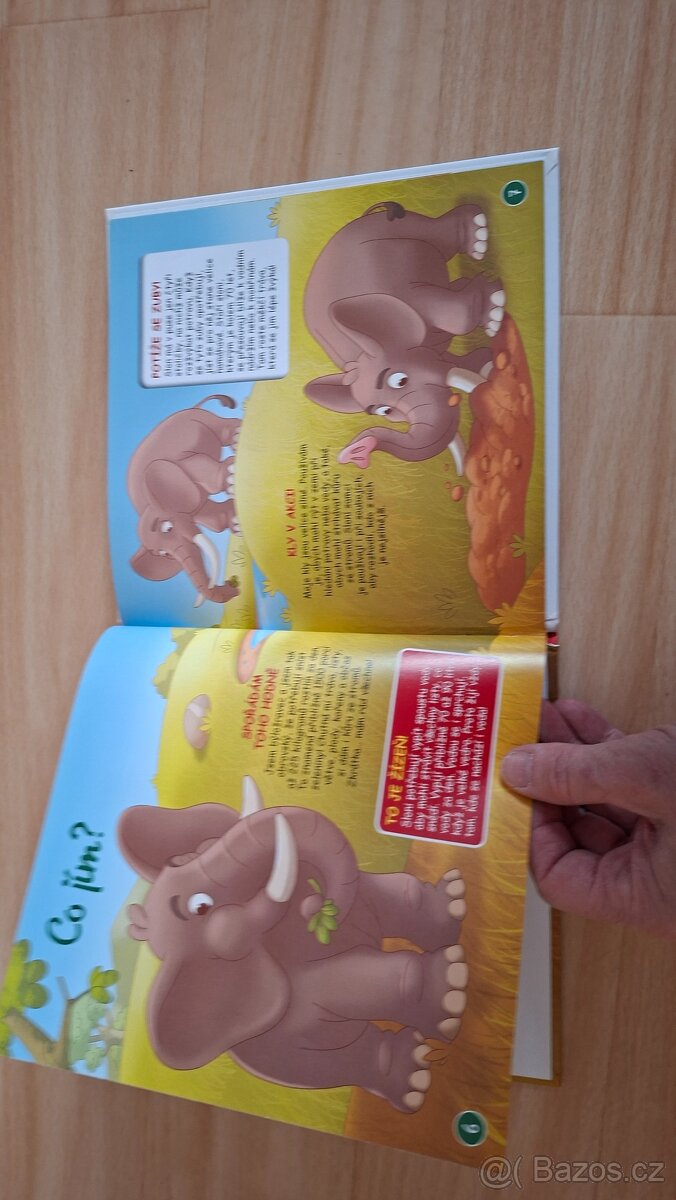 Bydlím v savaně SLON - 4