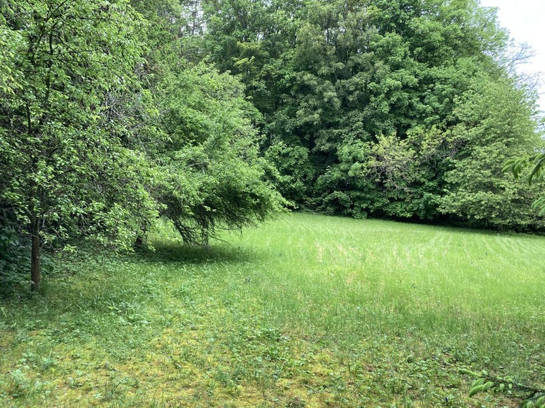 Prodej pozemku 650 m2 k výstavbě chaty v Sušici - 4