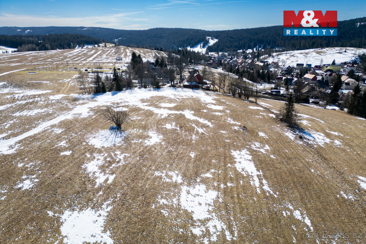 Prodej louky, 34345 m², Pernink - 4