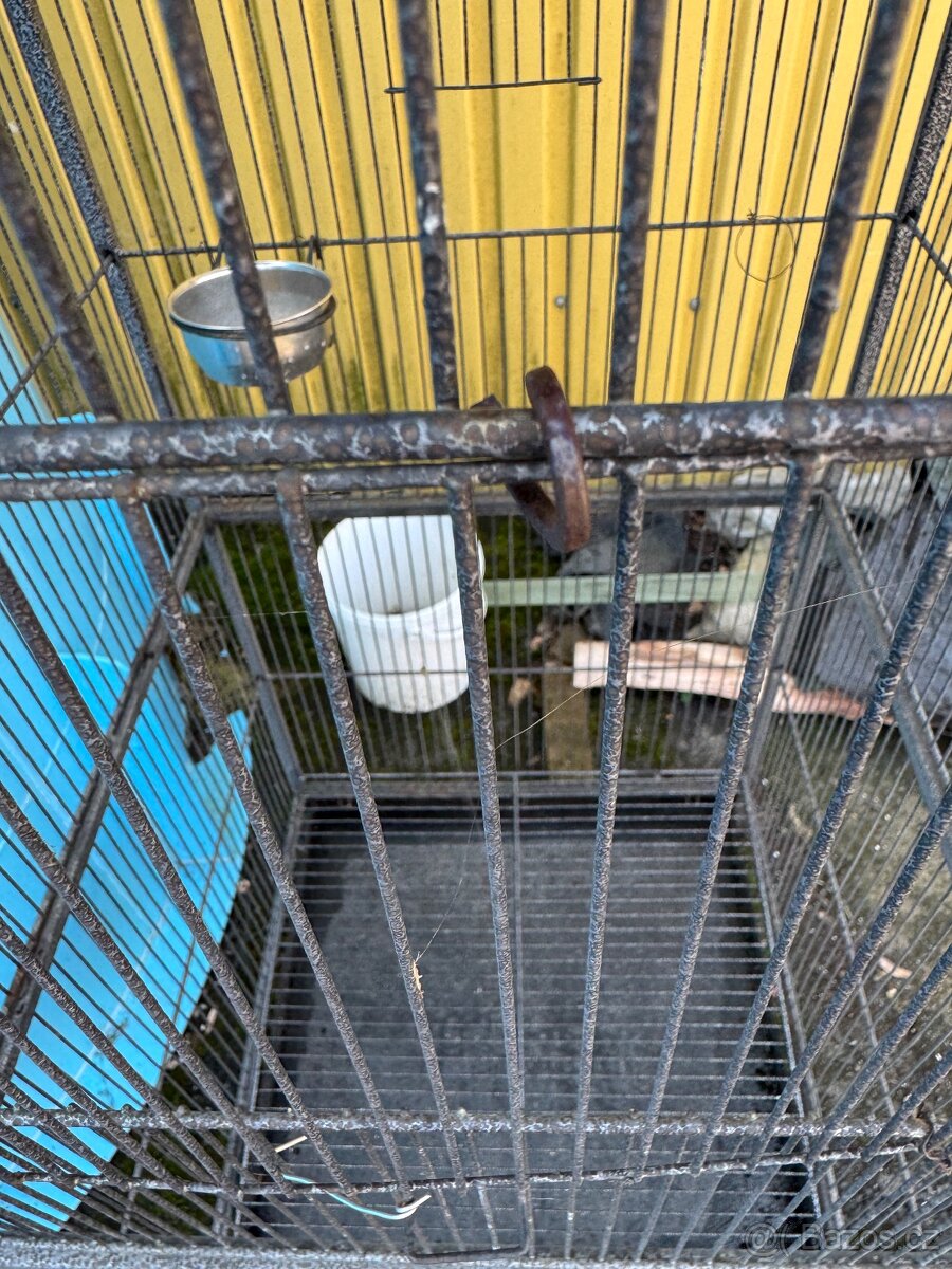 Ptačí voliéra - 4