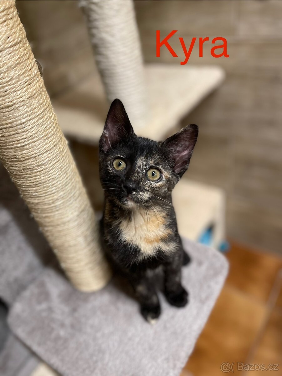 Mayla a Kyra - 4