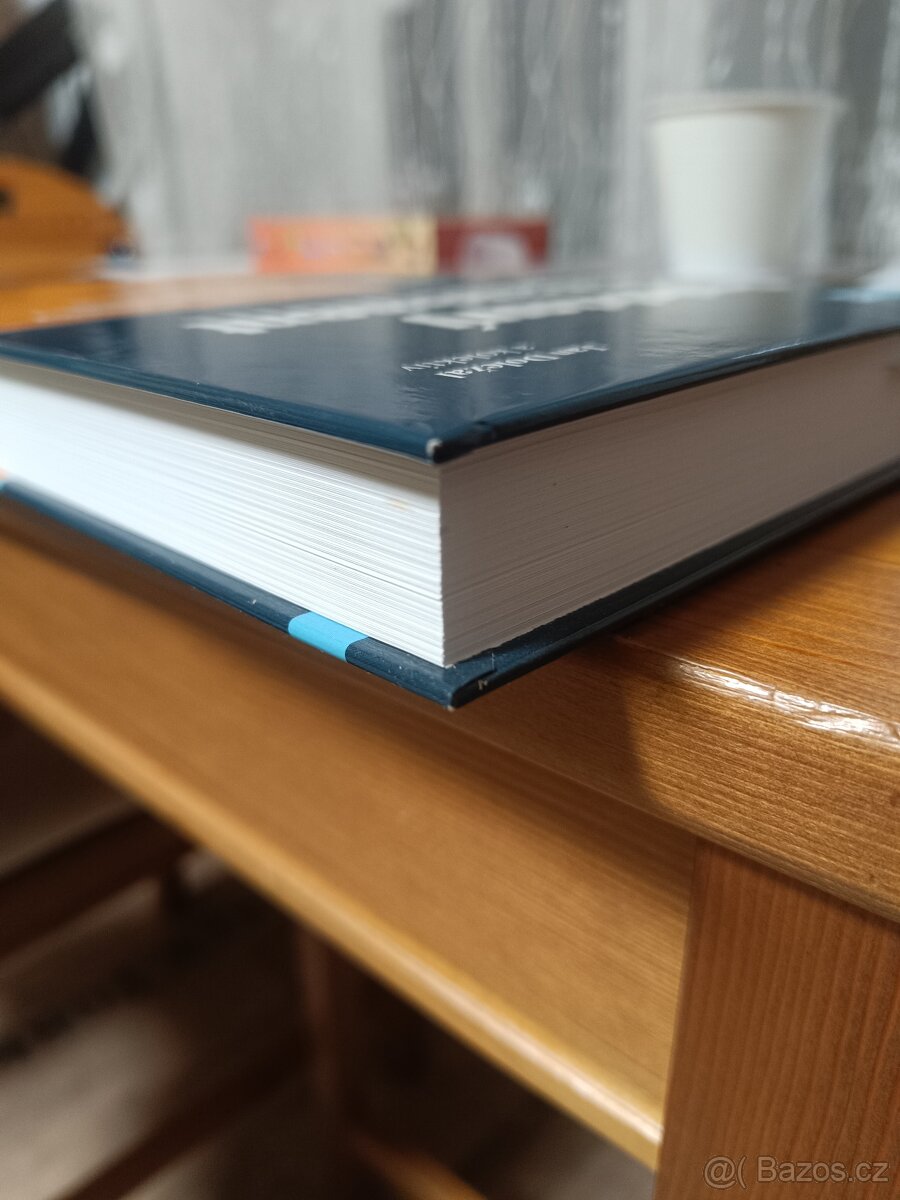 Projektový management - 4