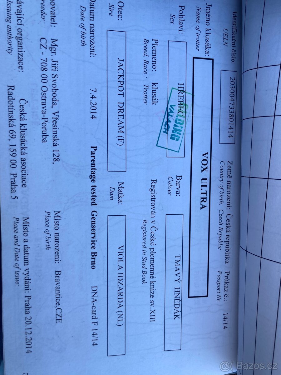 11 lety Valach na rekreaci - 4