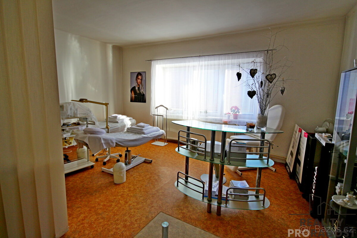 Pronájem Komerčních prostor 27 m2 - 4