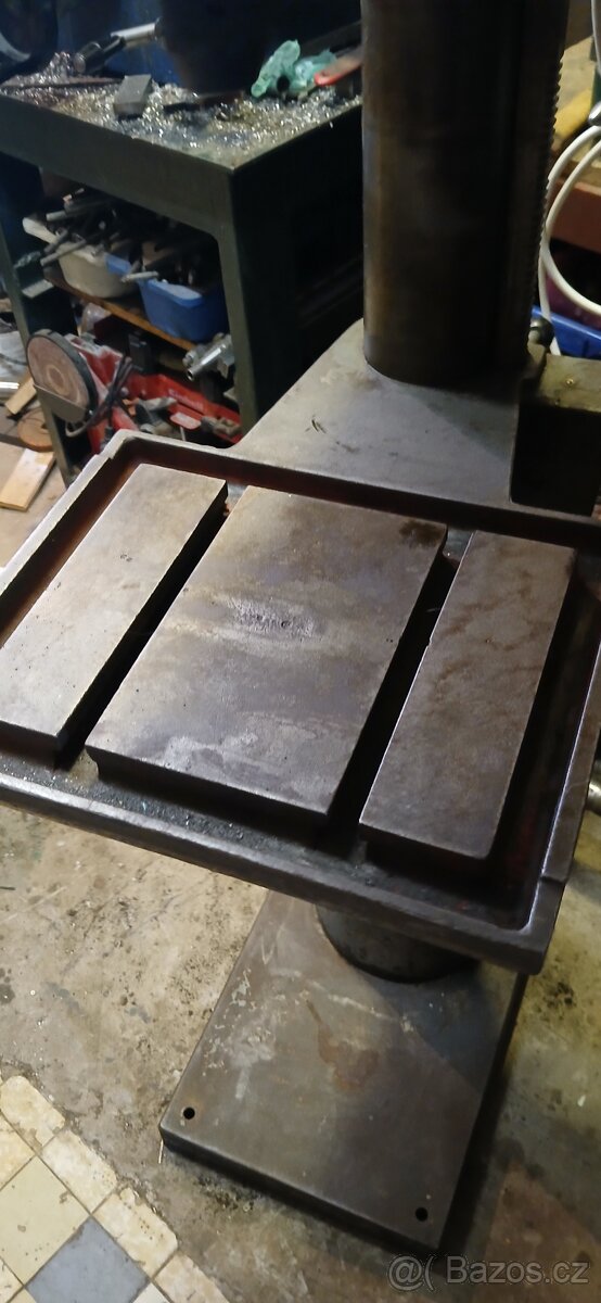 Vrtačka sloupová - 4