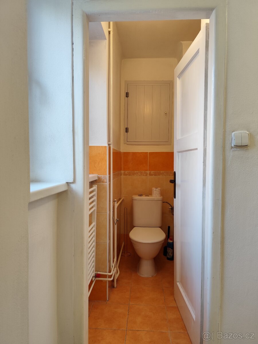 Pronajmu byt 2+1 - 4