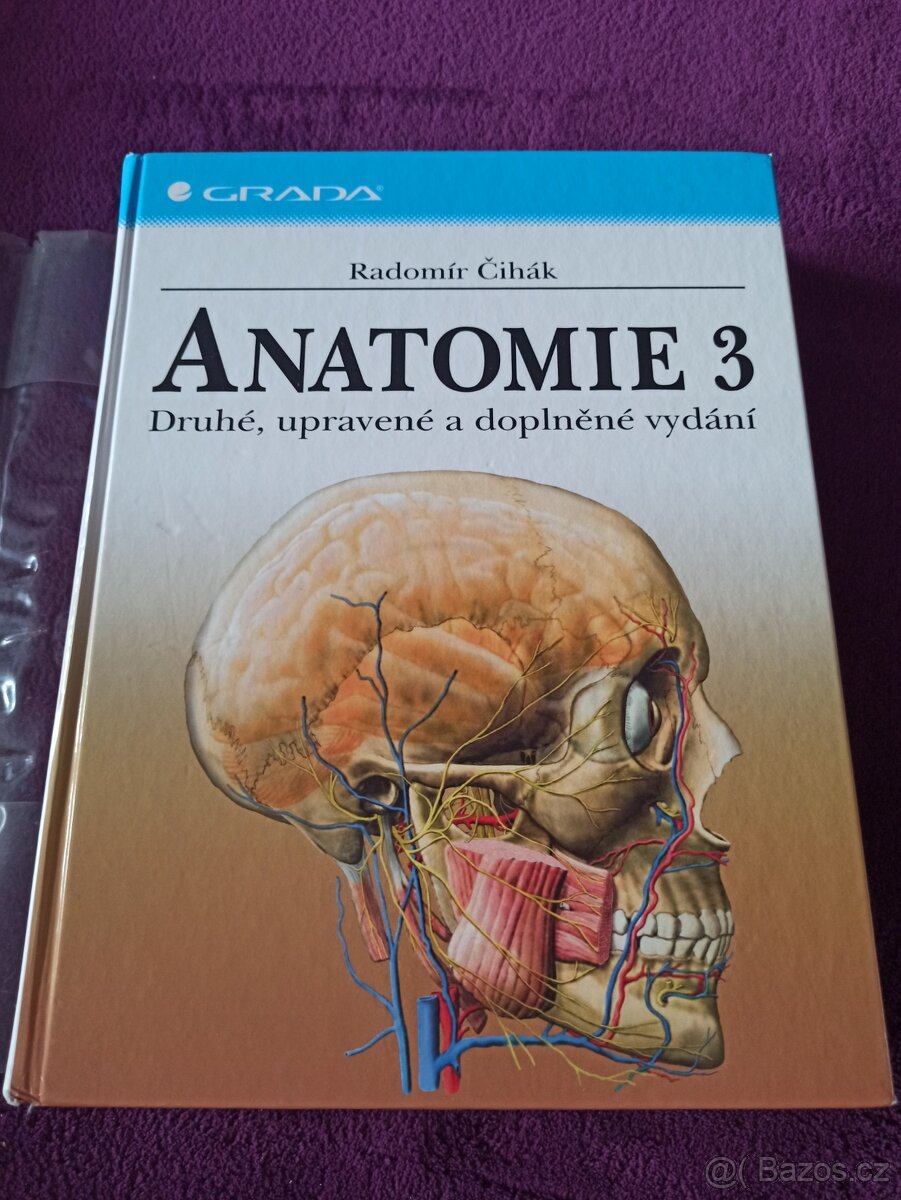 Anatomie Čihák - 4